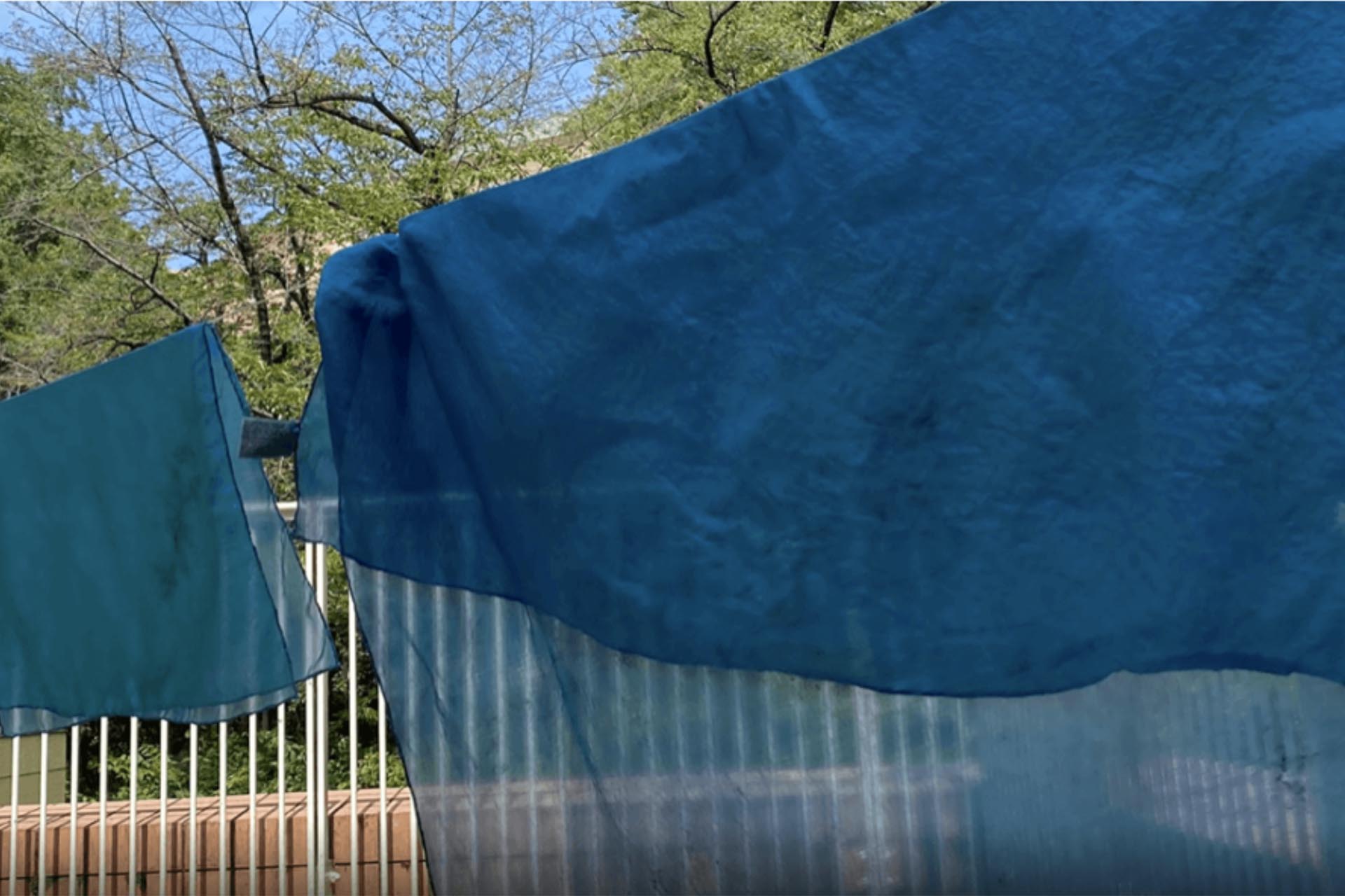 藍が育む 自然と人間と地域の発酵関係 とは 神田藍プロジェクトその１ Kosmost