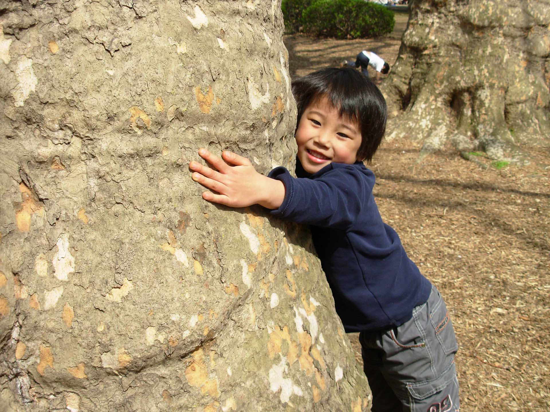 自然とのふれあい・自然体験活動・五感をつかった遊び