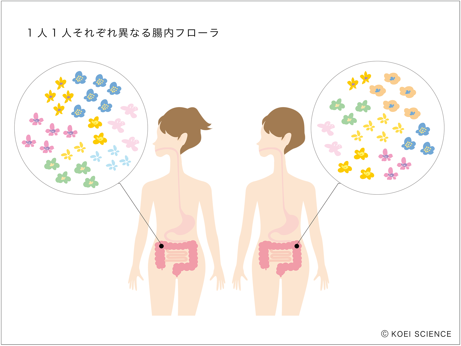 腸内フローラ・お花畑・flora