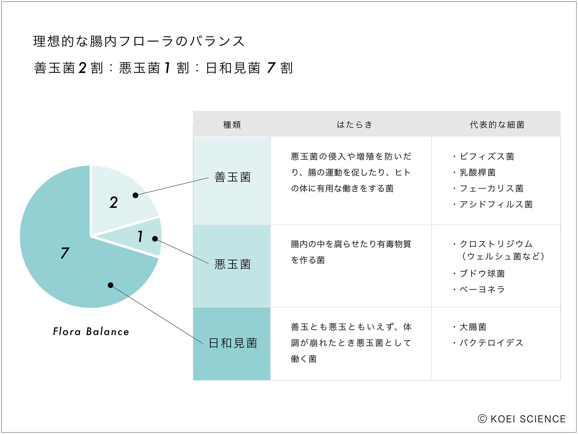 腸内フローラ・flora balance・善玉菌・悪玉菌・日和見菌