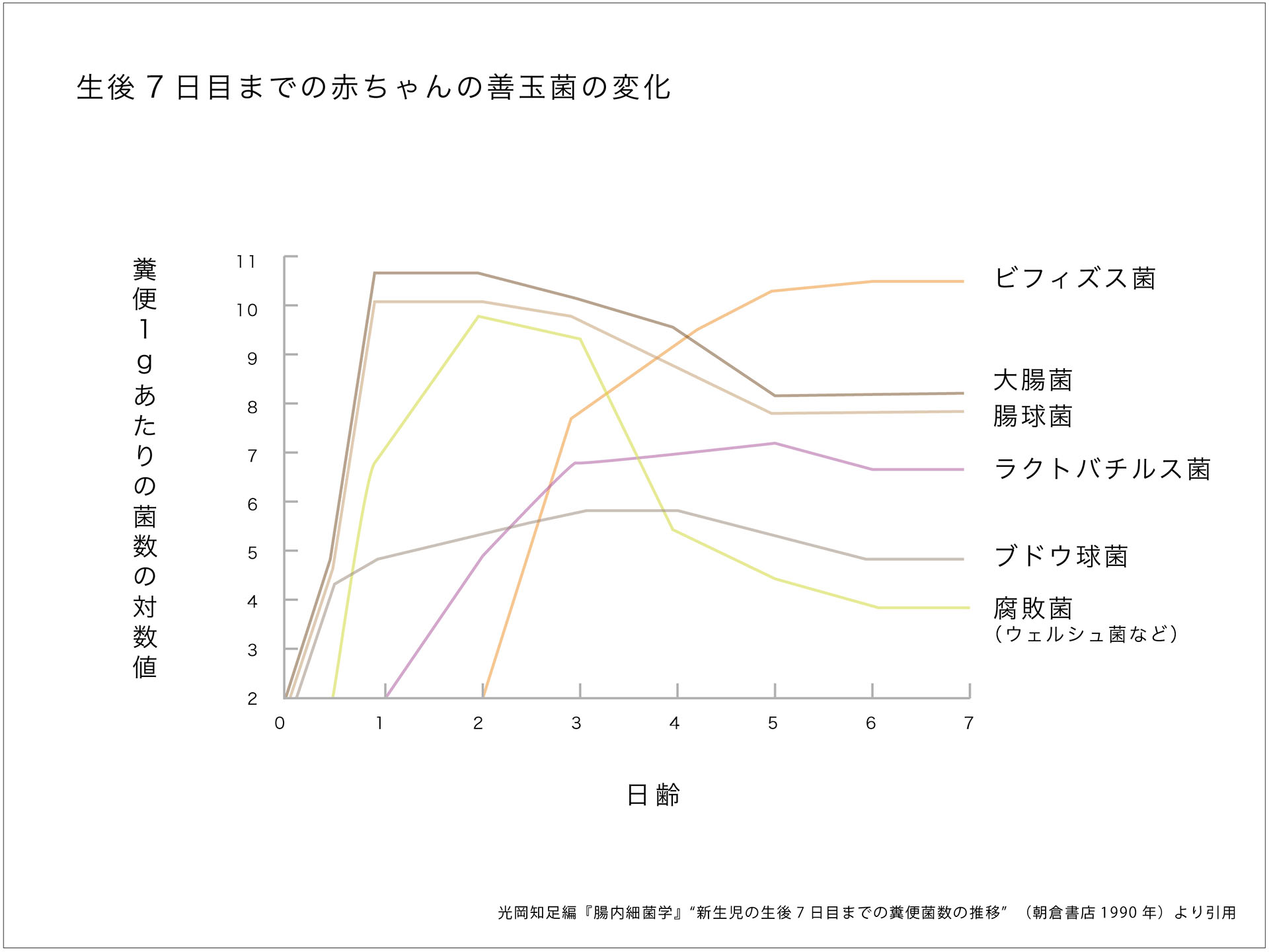 赤ちゃん・腸内フローラ・善玉菌