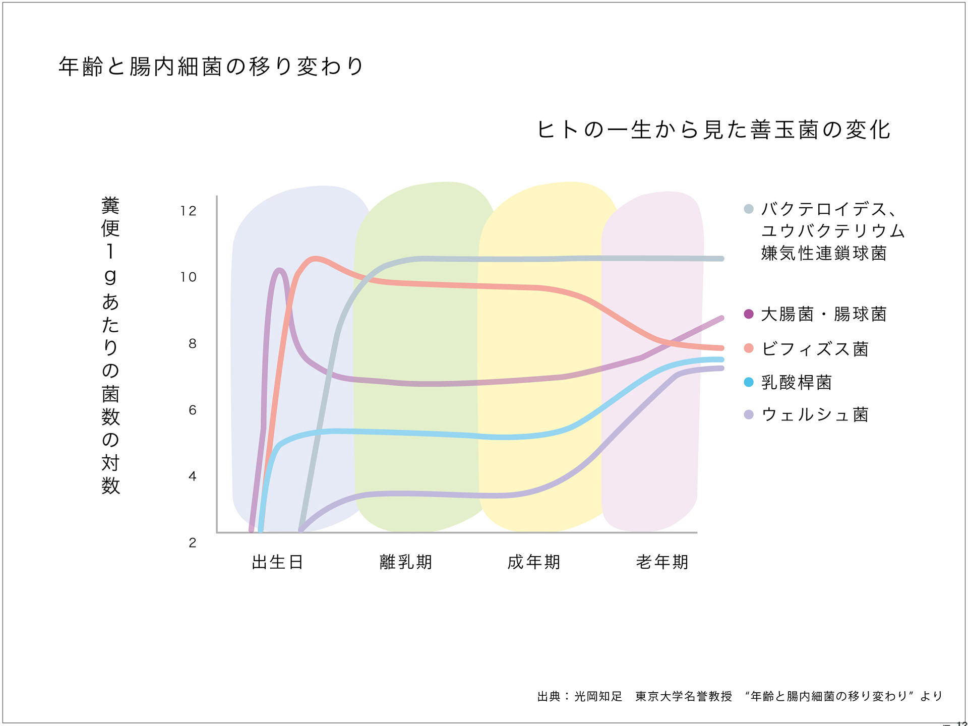 年齢・腸内フローラの変化