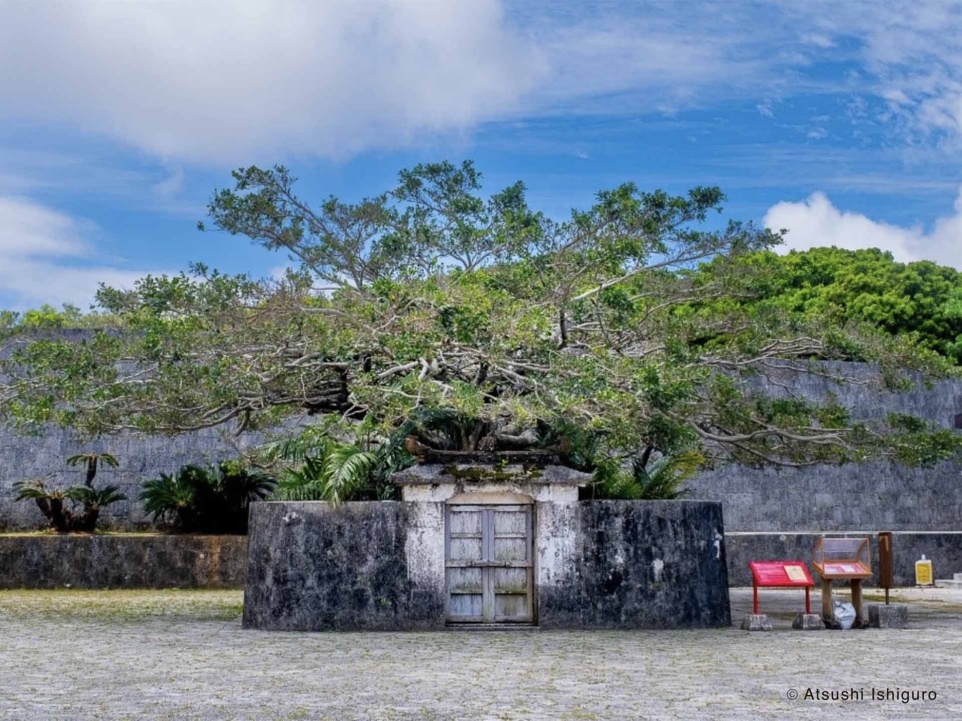 沖縄・泡盛・首里森御嶽