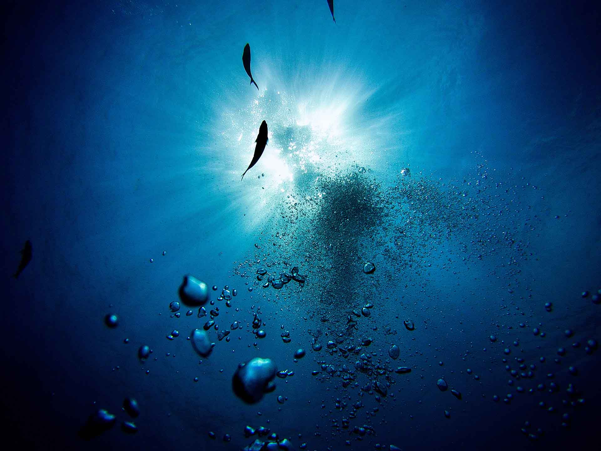 深海・生物・微生物