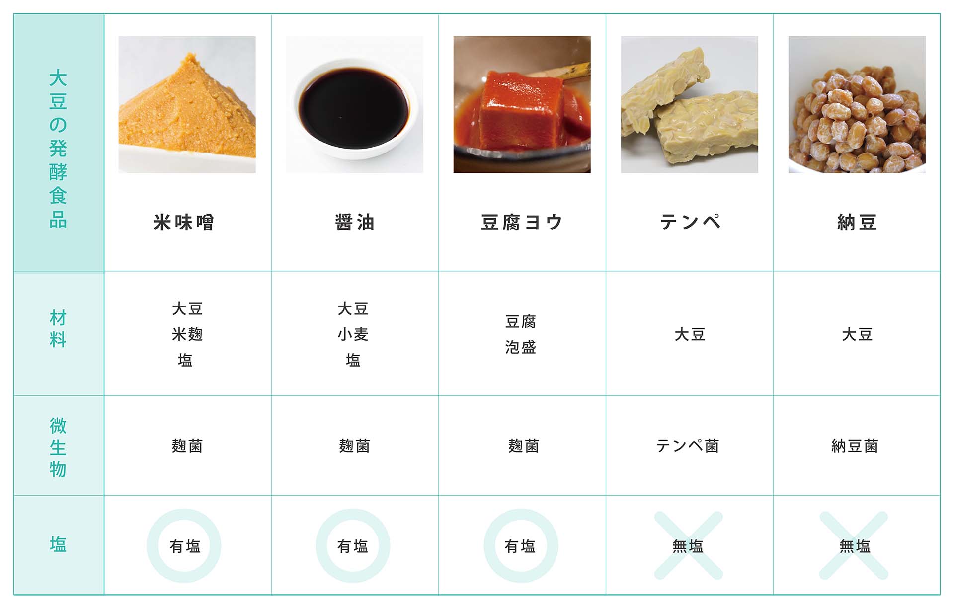 大豆・発酵食品・微生物